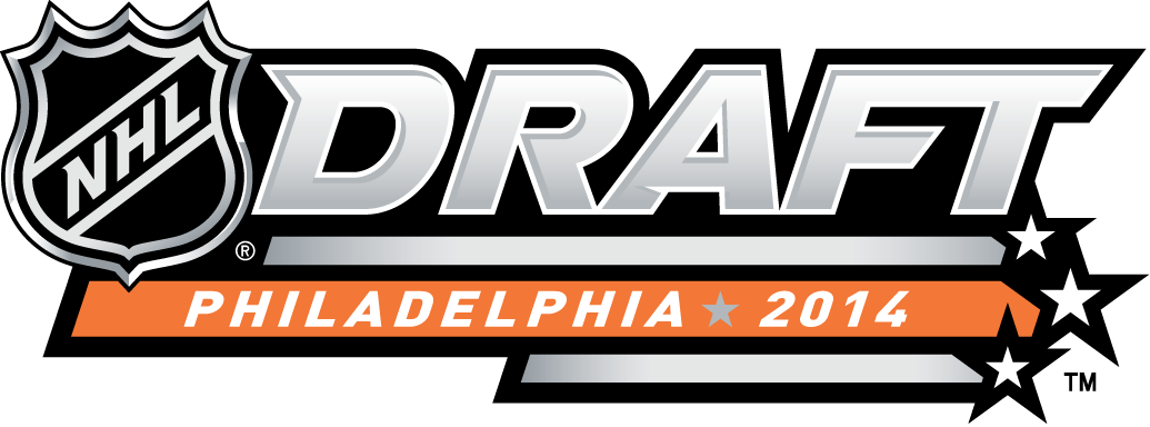 NHL Draft 2014 Alternate Logo DIY iron on transfer (heat transfer)